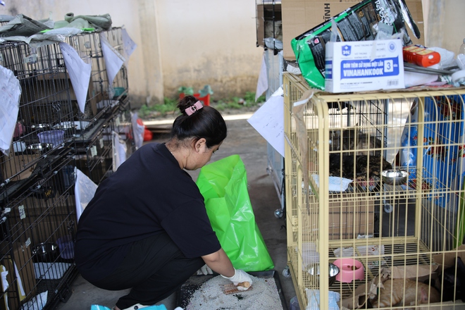 Phía sau hành trình chăm sóc hơn 400 chú mèo được giải cứu- Ảnh 2.