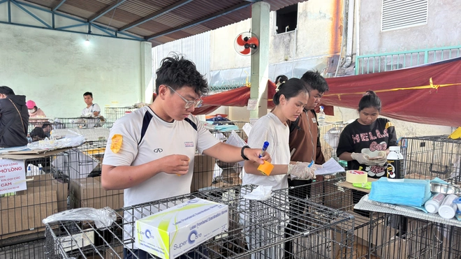 Phía sau hành trình chăm sóc hơn 400 chú mèo được giải cứu- Ảnh 3.