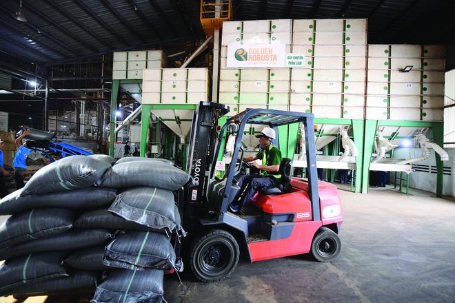 ROBUSTA VIỆT NAM: GỌI ĐÚNG TÊN VÀ HƠN THẾ NỮA - Ảnh 2.