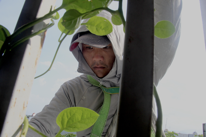Making living between sky and earth under central Vietnam’s scorching heat - Ảnh 12.