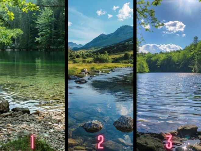 Quiz: Bạn chính trực, trung thành hay là người dũng cảm - Ảnh 1.