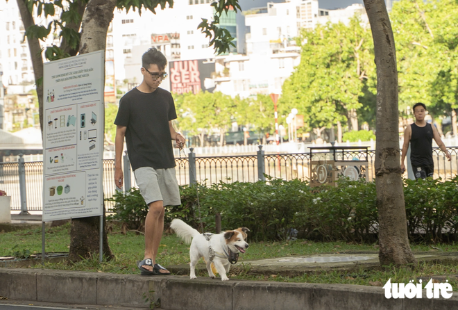 Free-roaming, unmuzzled dogs persist in public spaces in Ho Chi Minh City despite fines- Ảnh 1.