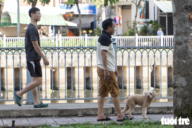 Free-roaming, unmuzzled dogs persist in public spaces in Ho Chi Minh City despite fines- Ảnh 2.