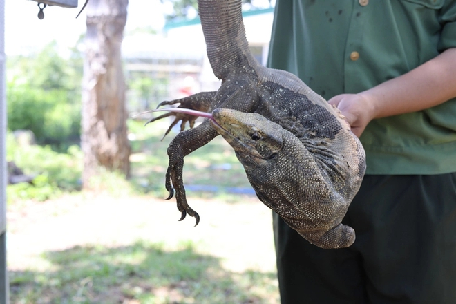 A lifelong home for nearly 200 injured wild animals in Vietnam’s Central Highlands- Ảnh 9.