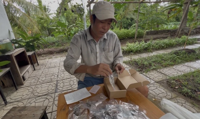 Vietnamese man makes business out of giant water bug farming- Ảnh 5.