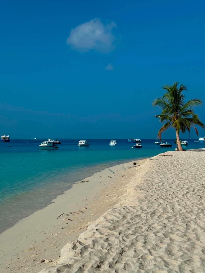 Vietnamese woman overcomes fear to dive alongside nurse sharks in Maldives- Ảnh 5.