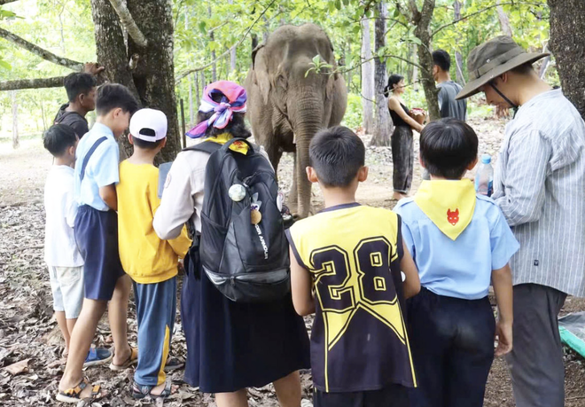Local, int’l visitors see elephants, rare wildlife up close in Vietnam’s Central Highlands - Ảnh 9.
