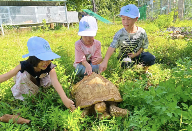 Local, int’l visitors see elephants, rare wildlife up close in Vietnam’s Central Highlands - Ảnh 10.