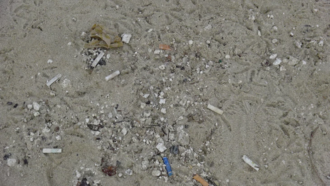 Smoking, cigarette butts mar Da Nang beaches- Ảnh 2.