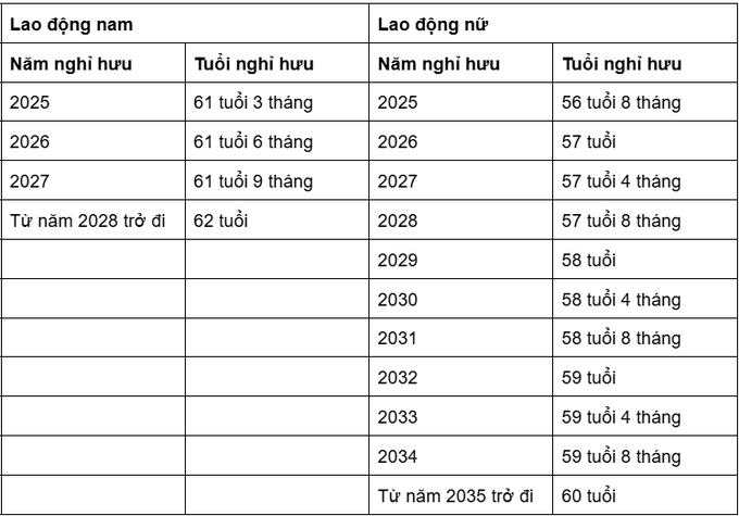 undefined - Ảnh 1. undefined - Ảnh 1.