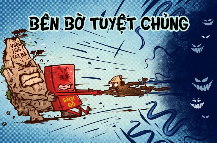 Voọc Cát Bà bên bờ tuyệt chủng, chỉ còn khoảng 70 cá thể trong tự nhiên