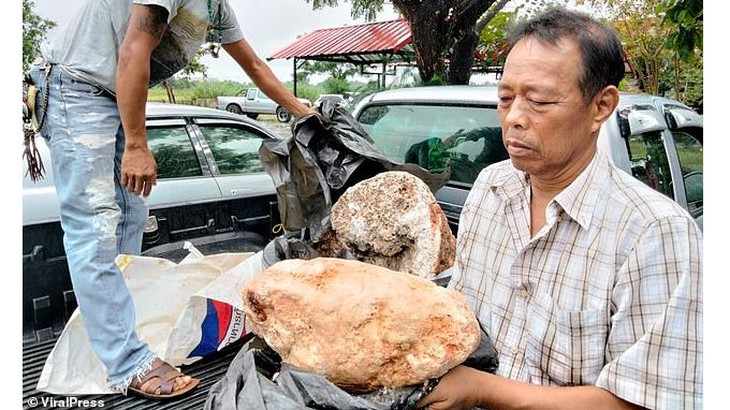 Đi dạo ngắm biển bỗng vấp phải "bãi nôn" cá voi giá 74 tỉ đồng