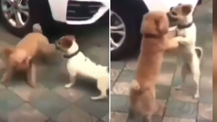 Lần đầu tiên có vũ công Việt Nam lọt vòng bán kết Giải vô địch Tango thế giới  - Ảnh 4.