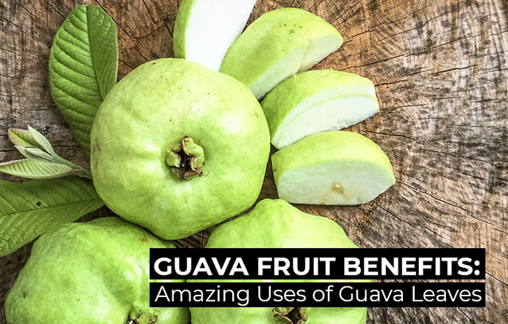 Quả ổi giàu vitamin, nhưng ai không nên ăn? - Ảnh 3.