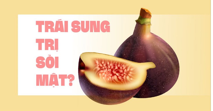 Trái sung có trị được sỏi mật?