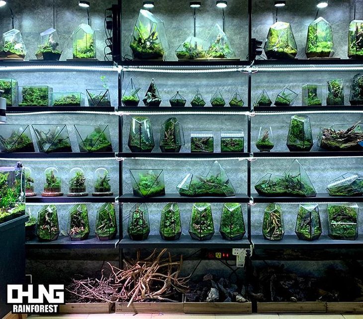 Việt Nam đang có bảo tàng nghệ thuật đương đại tốt nhất Đông Nam Á?  - Ảnh 9.