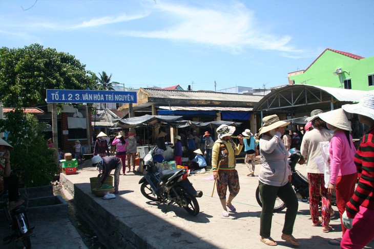 Tàu tránh bão cào đứt cáp điện ngầm dưới biển Nha Trang - Ảnh 1.