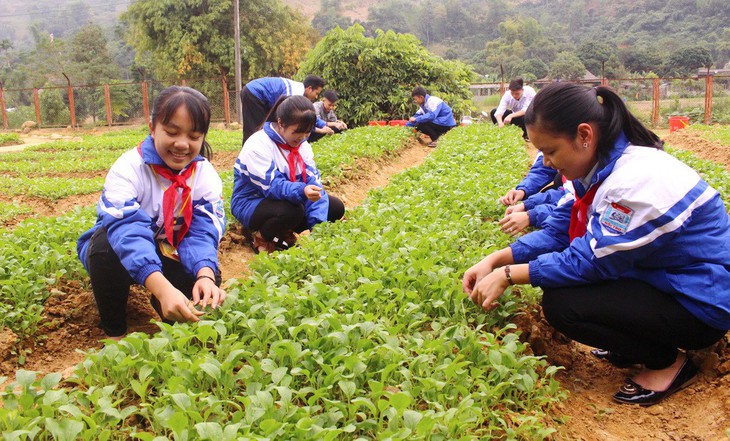 Vườn rau của học trò: áp dụng từ môn công nghệ - Ảnh 2.