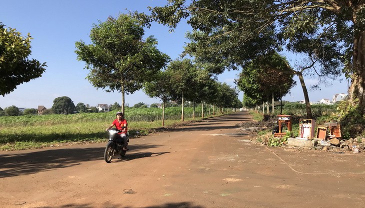 Buôn văn hóa các dân tộc Tây Nguyên treo 14 năm vì đói vốn - Ảnh 1.