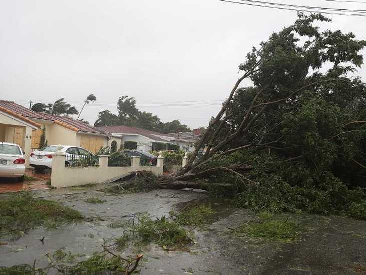 Sinh con tại nhà vì bác sĩ bị kẹt bão Irma - Ảnh 1.