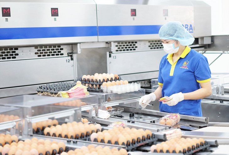 Có 100.000 tỉ, nhưng nông nghiệp công nghệ cao vẫn đói vốn - Ảnh 1. Có 100.000 tỉ, nhưng nông nghiệp công nghệ cao vẫn đói vốn - Ảnh 1.