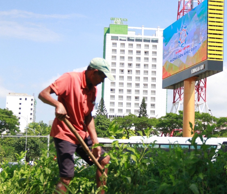 Đà Nẵng đã sẵn sàng đón APEC - Ảnh 7.