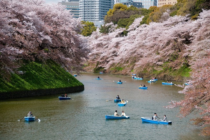 Đi đại thành phố Tokyo chơi gì, ăn gì, mua gì? - Ảnh 14.