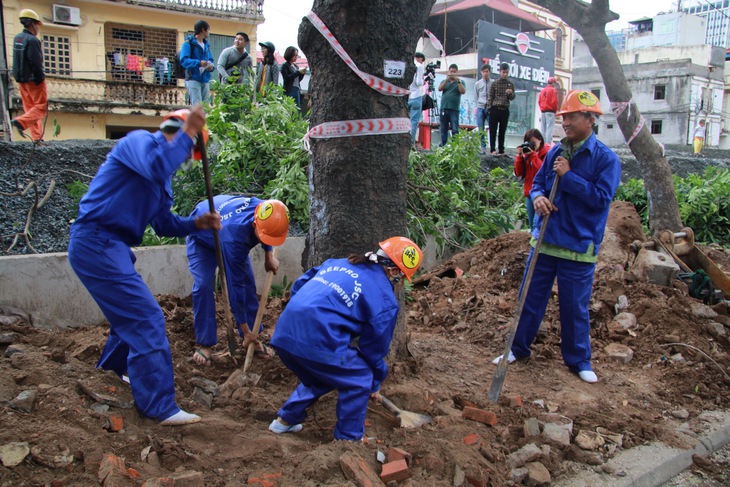 Hà Nội chuyển, chặt gần 1.300 cây xanh để thi công đường vành đai 3 - Ảnh 1.