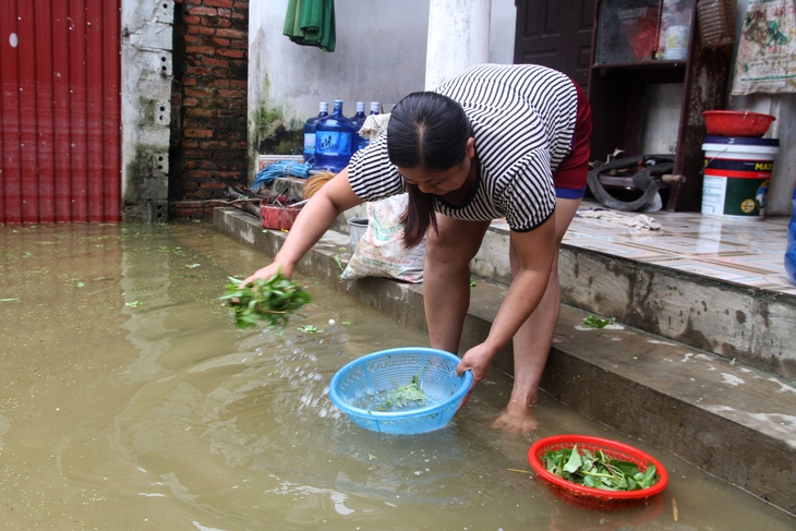 Nhiều đường làng ở huyện Chương Mỹ vẫn là dòng sông - Ảnh 12. Nhiều đường làng ở huyện Chương Mỹ vẫn là dòng sông - Ảnh 12.
