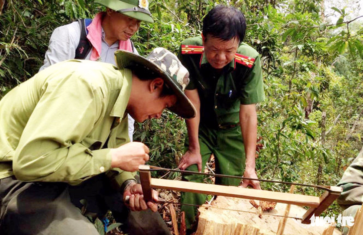 Tại sao để mất rừng, mất luôn cả cán bộ? - Ảnh 3.