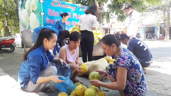 Bạn trẻ Nghệ An giải cứu bưởi Hà Tĩnh - Ảnh 1.