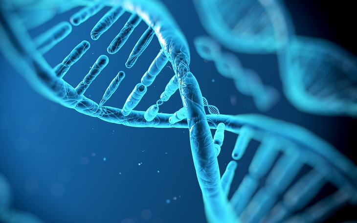 Vì sao nhiều 'thần đồng' khi nhỏ không đứng trên đỉnh cao lúc trưởng thành? - Ảnh 2.