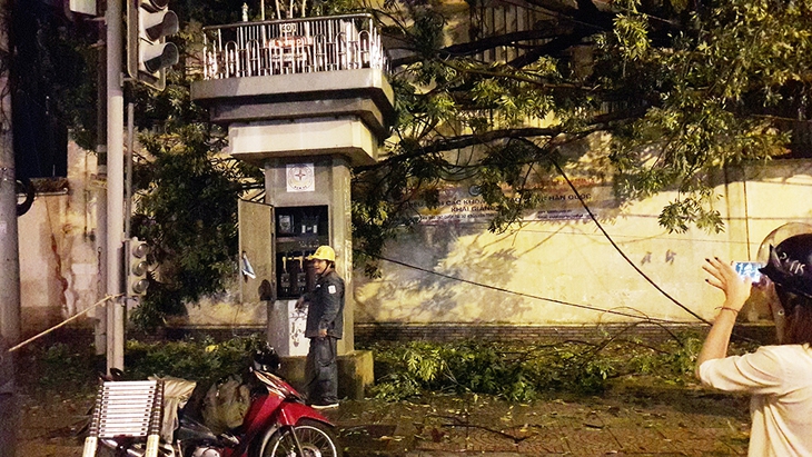 Sau cơn giông, cổ thụ bật gốc đổ ập xuống trường học - Ảnh 3. Sau cơn giông, cổ thụ bật gốc đổ ập xuống trường học - Ảnh 3.