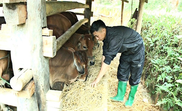 Mọi thứ thay đổi từ khi A Tài về đây làm việc - Ảnh 3. Mọi thứ thay đổi từ khi A Tài về đây làm việc - Ảnh 3.