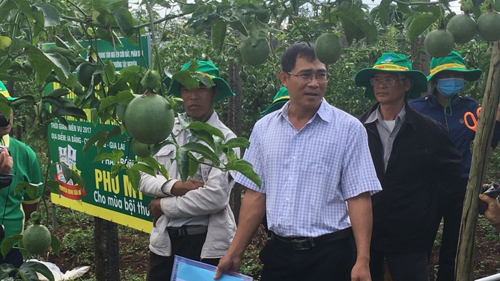 Tăng lợi nhuận từ cây chanh dây nhờ chọn phân bón phù hợp