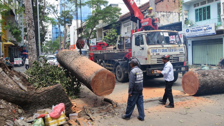 Mưa đêm, sấm chớp nhiều có bất thường? - Ảnh 1.