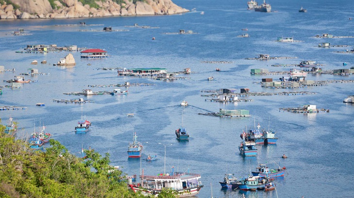 Kiến nghị cho làm du lịch ở đảo Bình Ba