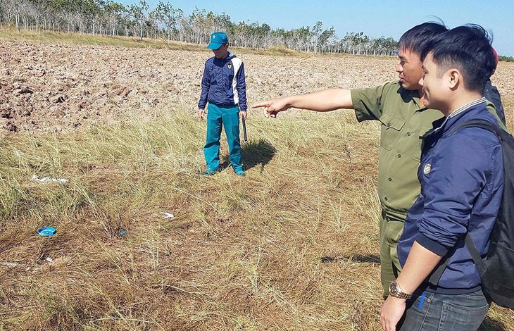 Điều tra vụ gần 100ha mía cháy nghi bị đốt trả thù - Ảnh 1.