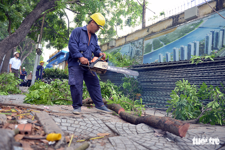 Bắt đầu đốn, dời 14 cây xanh trên đường Tôn Đức Thắng - Ảnh 6.