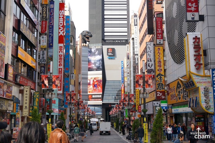 Shinjuku, Shibuya, Harajuku: những điểm không thể bỏ qua khi đến Tokyo - Ảnh 9.