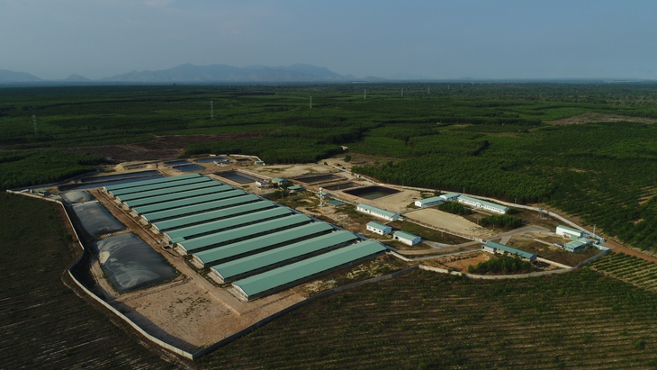 Heo nuôi chuẩn GlobalG.A.P. đã có mặt ở Việt Nam - Ảnh 3. Heo nuôi chuẩn GlobalG.A.P. đã có mặt ở Việt Nam - Ảnh 3.