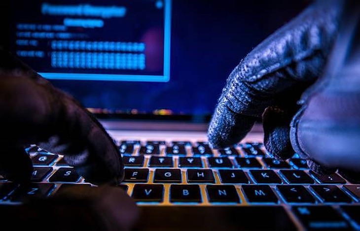 Europol kêu gọi tăng cường hành động chống tội phạm mạng - Ảnh 1. Europol kêu gọi tăng cường hành động chống tội phạm mạng - Ảnh 1.