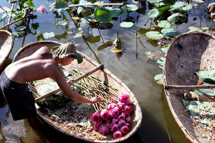 Hà Nội: Quận Tây Hồ xây dựng không gian thưởng thức trà sen - Ảnh 1.