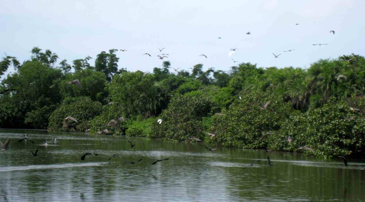 Bạc Liêu: Quy hoạch dài hạn bảo tồn đa dạng sinh học