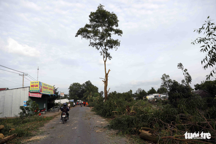 Nhiều tàu cá vào vùng biển Thái Lan, Malaysia xin tránh bão - Ảnh 13.