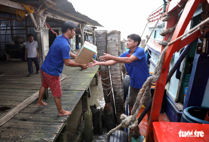 Nhiều tàu cá vào vùng biển Thái Lan, Malaysia xin tránh bão - Ảnh 8.