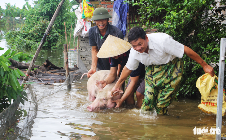 Nước sông Lam dâng nhanh, dân hối hả chạy lụt - Ảnh 7.