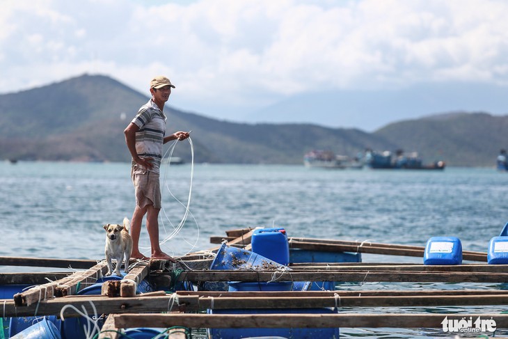 Bè tan thuyền nát, ngư dân ôm nợ - Ảnh 11.