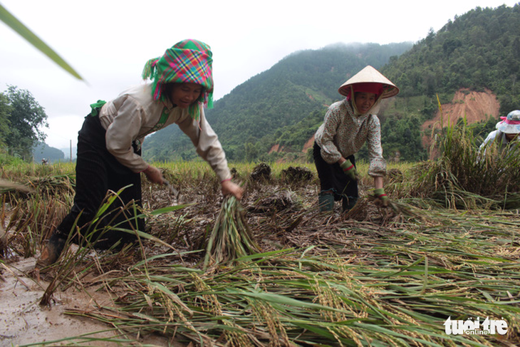 Trạm Tấu - Yên Bái: Nhà cửa, ôtô bị lũ cuốn phăng - Ảnh 12.