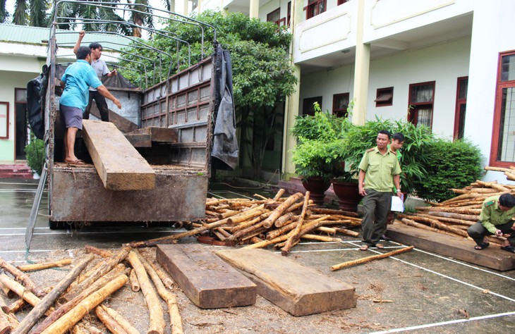 Bị kiểm tra, tài xế chở gỗ lậu bỏ xe tháo chạy - Ảnh 2.